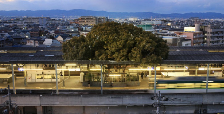 Szívemelengető: Egy 700 éves fa köré építettek egy teljes vasútállomást Japánban (+ fotók)